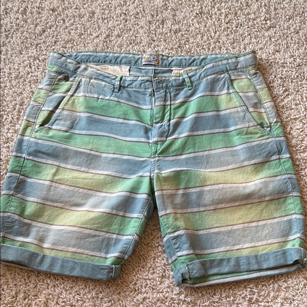 Scotch & Soda Blue and Green Flat Front Shorts